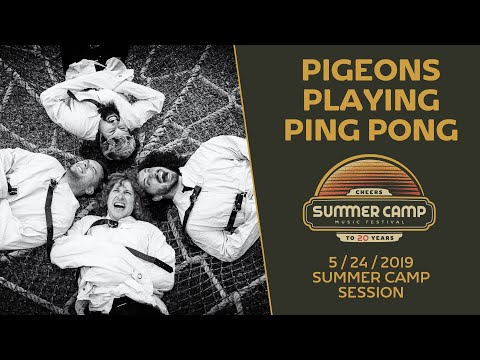 SC Sessions: Pigeons Playing Ping Pong 2019