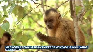 Miniatura do vídeo