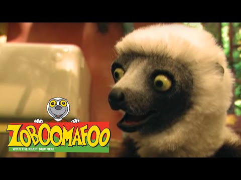 Zoboomafoo 130 - Jumpers (Full Episode)