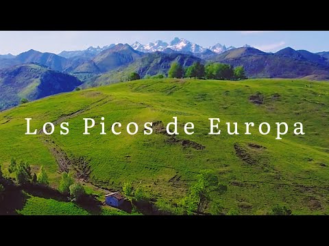 My Cabin in Northern Spain | Patxi en Cabaña