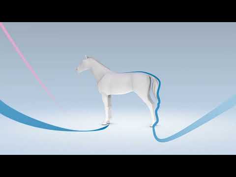 Prascend Tablets for Horses Video