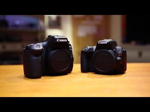 Canon 80D vs. SL2 - Best Video DSLR