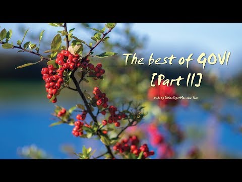 🌺 The best of GOVI【Part II】