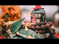Shravan Somvar WhatsApp Status Mahadev Status Shravan Maas श्रावण सोमवार स