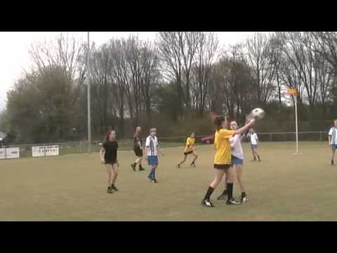 Phoenix C1 - Die Haghe C2