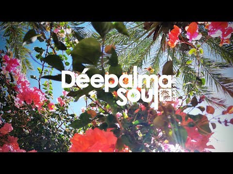 Loui & Scibi feat. Nathalia - Giving You the Light (Shane D. Remix) [Déepalma Soul Classics]