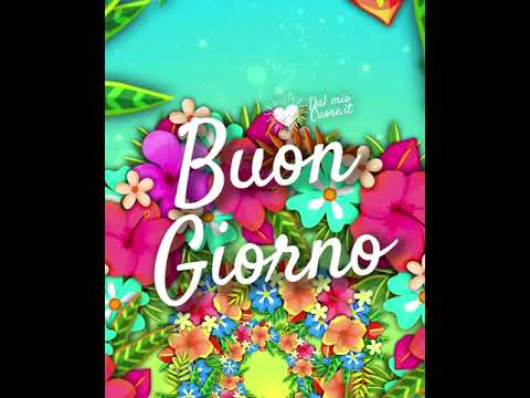 Gif e Video. Buongiorno estivo e colorato con fiori