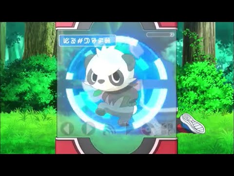 Pancham pokedex entry
