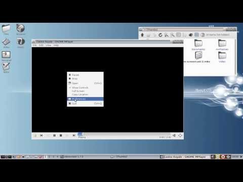 Antix 13 Stable - Gnome-MPlayer - Play your video files, DVD's and install libdvdcss2!