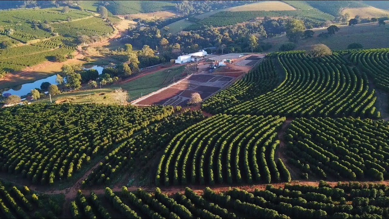 Boas Práticas no Pós Colheita