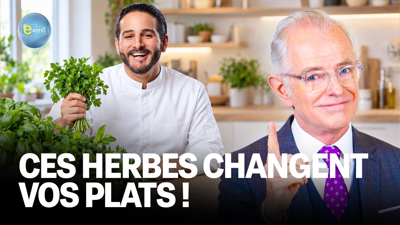 HERBES AROMATIQUES : les secrets du chef Mohamed Cheikh | E=m6