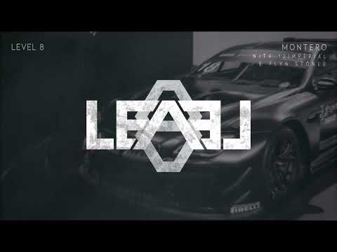 Level 8, 13imperial & Flyn Stoned - Montero (Call Me By Your Name)