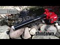 Shindaiwa EB6000W