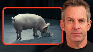 Sam Harris on Trump's Iran Deal: A Fully Humiliating Capitulation