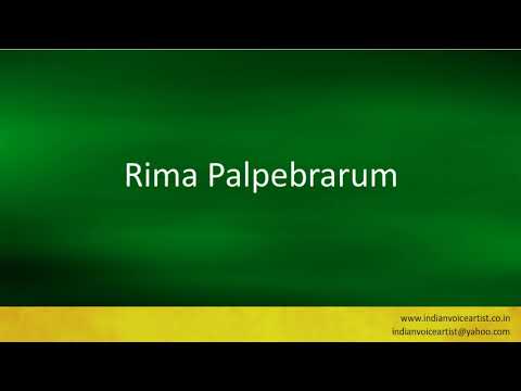 Pronunciation of the word(s) "Rima Palpebrarum".