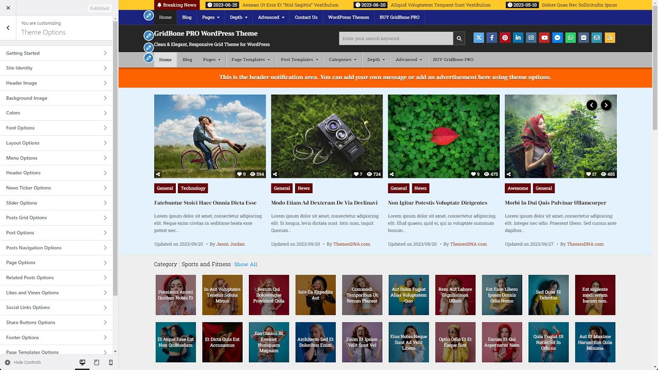 Customizer Theme Options - GridBone PRO WordPress Theme
