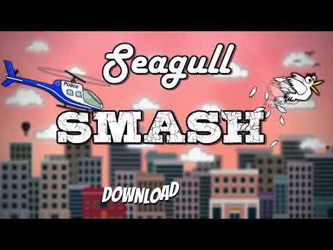 Seagull Smash Video