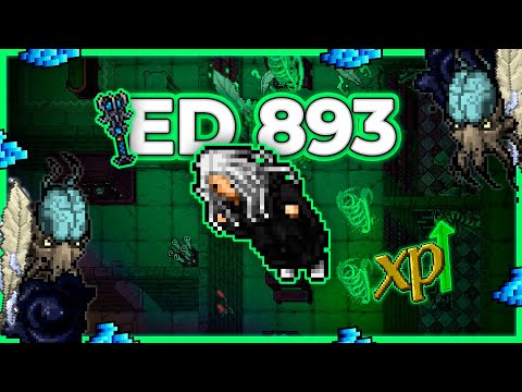 ED 893 Hunt x4 Secret Library Ice Section 14.2kk/h (225%) - Tibia Hunt #tibia #tibiahunt #hunts