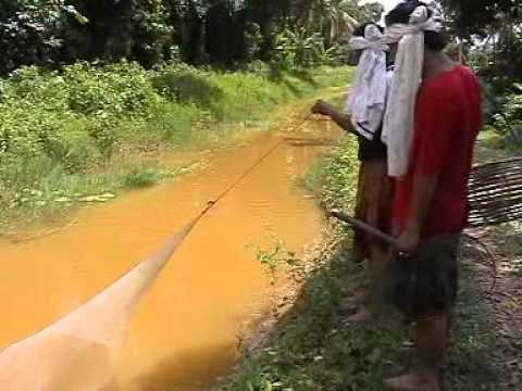 Zaidi Buluh Perindu & Mat Glamour - Ikan Darat