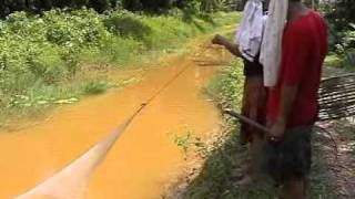 Download lagu Zaidi Buluh Perindu & Mat Glamour - Ikan Darat mp3 Download lagu Zaidi Buluh Perindu & Mat Glamour - Ikan Darat mp3