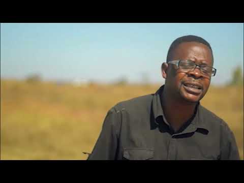 Charles Nsaku - Moyo