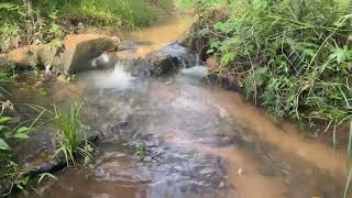 Cachoeira Guaricanga-P. Alves
