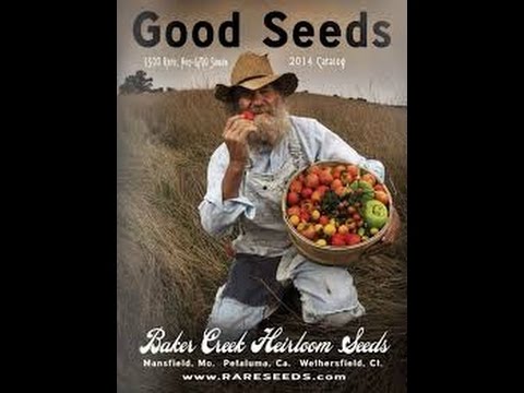 , title : '⟹ Baker Creek Seed, Rareseed com,  Pusa Asita Black #Carrot #seed #replacement'