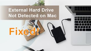 How to Fix External Drive Not Detected/Showing Up On Mac?