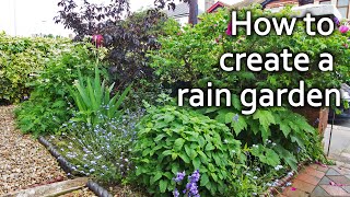 How to Build a Rain Garden | Utilise Rainwater and Prevent Flooding