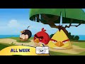 Angry Birds Toons KidsClick Promo 20 Secs Fall 2018 Refresh