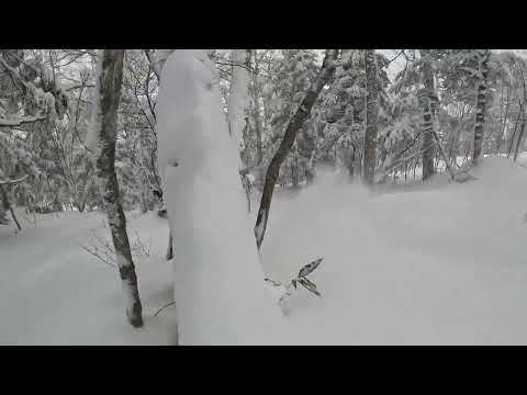 Shiga Kogen | Ichinose | 21 February 2023