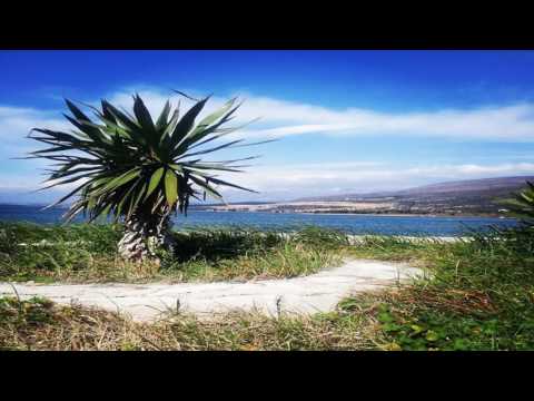 Apartment Luka - Gornji Karin - Croatia