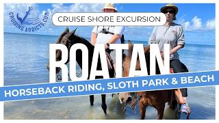 Cruise Shore Excursions - Roatan&nbsp;Horseback Riding&nbsp;Excursion&nbsp;Plus Sloth Park and Beach Break