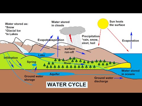 The Water Cycle Explained