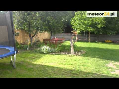 Pokoje Gościnne LaMa - Gołuchów meteor24.pl