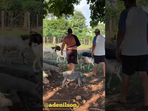 Sítio do Adenilson visita a Nova Guarita