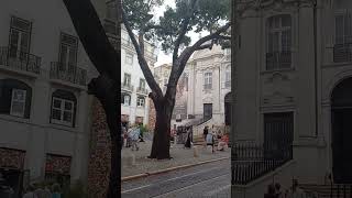 Lisbon Portugal🇵🇹#walkthrough #cruiseship #peaceful#portugal