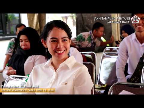 download lagu mp3 mp4 Yangn Tp, download lagu Yangn Tp gratis, unduh video klip Yangn Tp