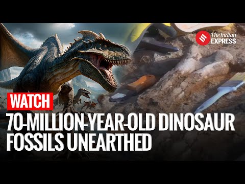 Rare Dinosaur Fossils Unearthed in Argentina’s Rio Negro Province During Live Excavation