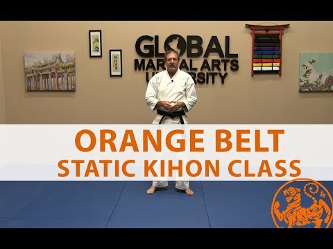 Shotokan Karate Follow Along Class - 7th Kyu Orange Belt - General Class