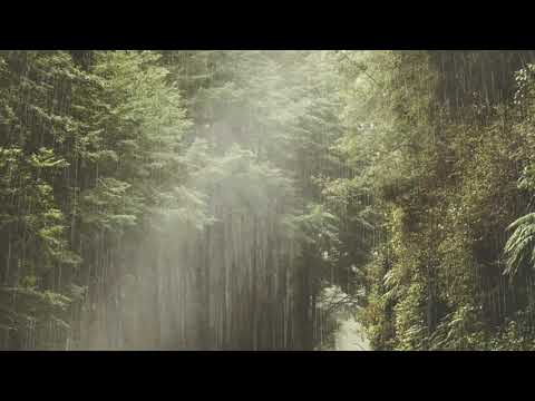 PLUIE ET ORAGE Pour Dormir Profondément, RAIN AND STORM To Sleep Deeply – 100% RELAX