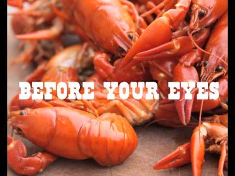 Miss Miranda and Suri Sumatra - CRAWFISH!!