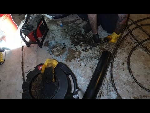 " Sewer Mice Takeover: The Epic Stack Snake Cleanout Chronicles!"