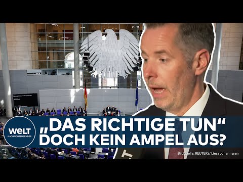 Video Thumbnail: DEUTSCHLAND IM SINKFLUG?: FDP will mit Strukturreformen die Wirtschaft retten - Christian Dürr