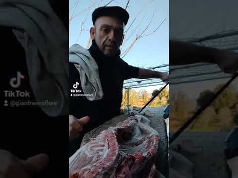 tutorial maialetto su spiedo sardo