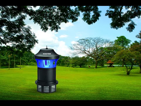 Akhochi Fly Catcher Electric Insect Killer Outdoor, Indoor Price in India -  Buy Akhochi Fly Catcher Electric Insect Killer Outdoor, Indoor online at