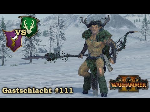 Orion - Gastschlacht #111 - Waldelfen vs Dunkelelfen - Total War: Warhammer 2 deutsch