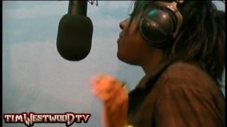 Lioness freestyle - Westwood