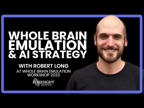 Robert Long | Whole Brain Emulation & AI Strategy @ Whole Brain Emulation Workshop 2023