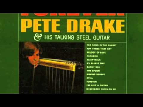 I'm Just A Guitar (Everybody Picks on Me) - Pete Drake - Forever (1964)